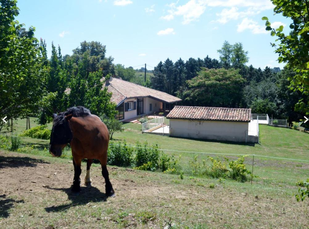 Appartement Room- Spa- Escale Amoureuse Puygaillard-de-Quercy